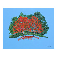 Jill Iliffe, The Beauty of the Trees (Twins)